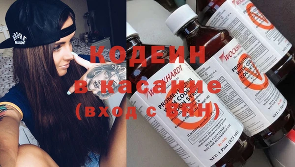 спиды Богородицк