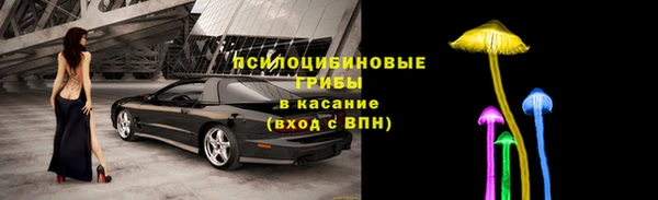 apvp Богородск