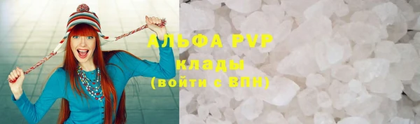 спиды Богородицк
