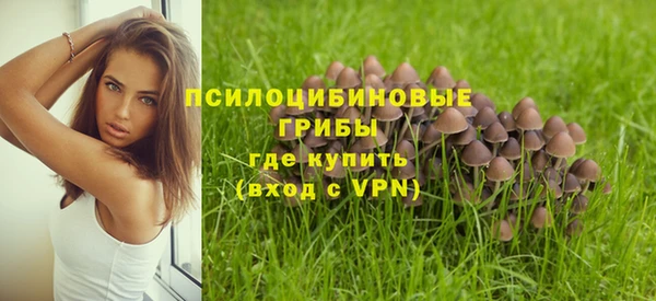 индика Белоозёрский