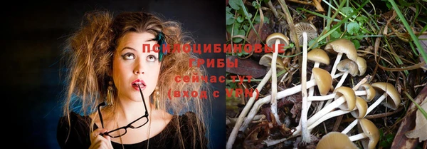 индика Белоозёрский