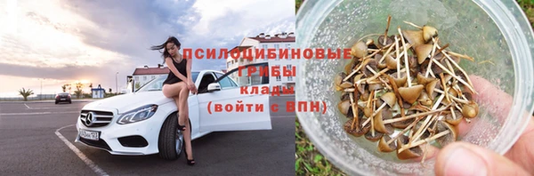 тгк Бронницы