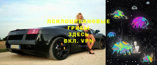 apvp Богородск