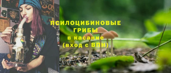 прущие грибы Бугульма
